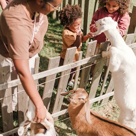 Ecodomaine Rêver Ailleurs - Insolite à La Ferme