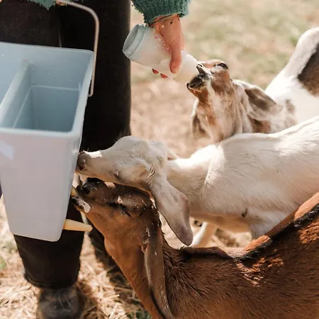 Ecodomaine Rêver Ailleurs - Insolite à La Ferme Tente de luxe *