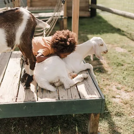 Ecodomaine Rêver Ailleurs - Insolite à La Ferme *