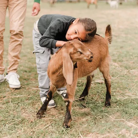 Ecodomaine Rêver Ailleurs - Insolite à La Ferme * Champfrémont
