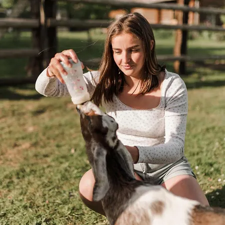 Ecodomaine Rêver Ailleurs - Insolite à La Ferme Tente de luxe
